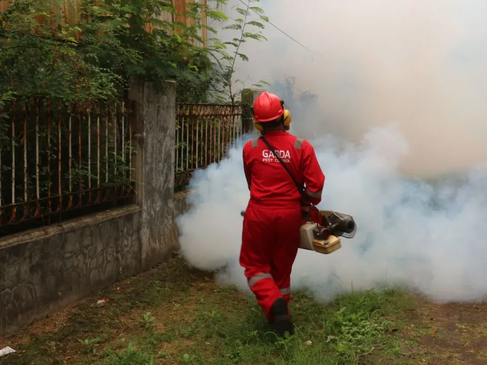 Pest Control Technician — Outdoor Service Pest Control Technician — Outdoor Service — Pest Control Technician, Fogging Machine, Hard Hat, Pest Control, Pest Control i…